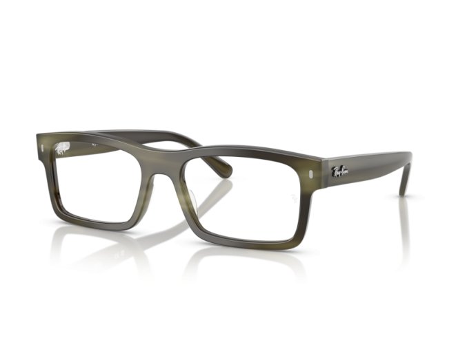 Ray-Ban RX5435 8405, vel.56