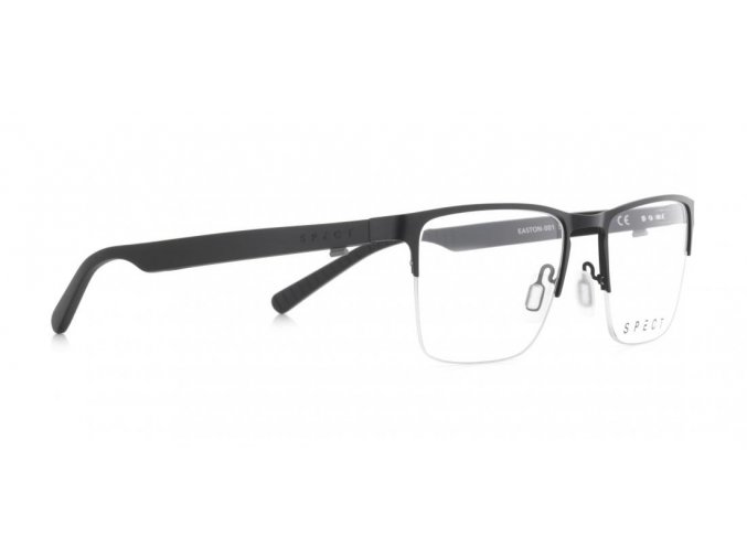 SPECT Frame, EASTON 001, black, 54 19 145