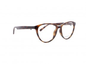 SPECT Frame, ARI 003, havanna, 50 15 145