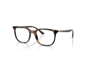 Ray Ban RX7211 2012 01