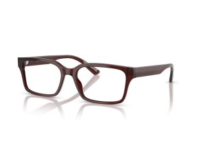 Emporio Armani EA3244 6174, vel.55