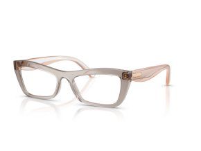 0VO5710 3301 P21 shad qt