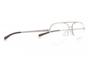 SPECT Frame, PALOALTO 003, silver, 54 15 140