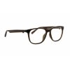 SPECT Frame, CHRISS 004, x'tal olive, 53 16 145