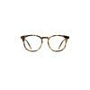 19880 19880 beaumont tortoise demi front