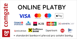 Online platby