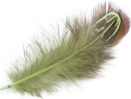 Bažantí peří délka 5-7 cm