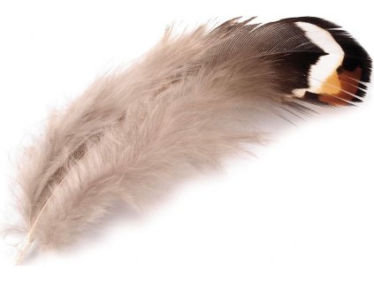 Bažantí peří délka 5,5-12 cm