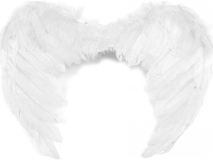 Anjelské krídla 35x45 cm