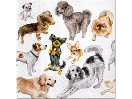 Papierové obrúsky PAW Dogs Happiness 33x33 cm / 20 ks.