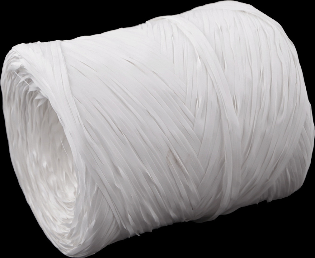 Lýko rafie k pletení tašek - syntetické, šíře 10 mm Varianta: 1 (01) bílá, Balení: 1 ks