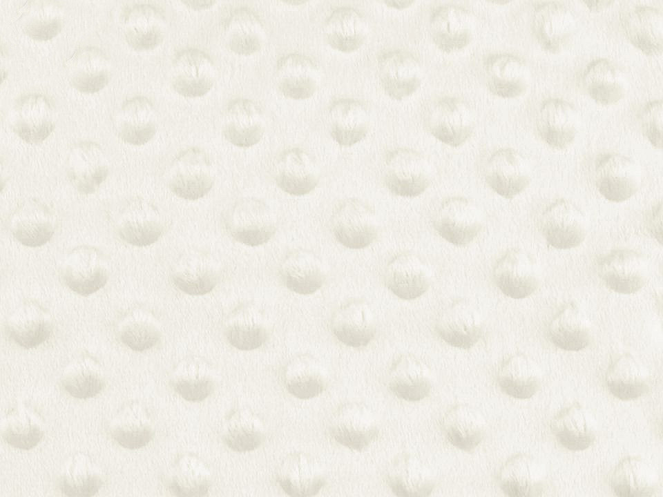 Minky s 3D puntíky Varianta: 19 (2) Off White, Balení: 1 m