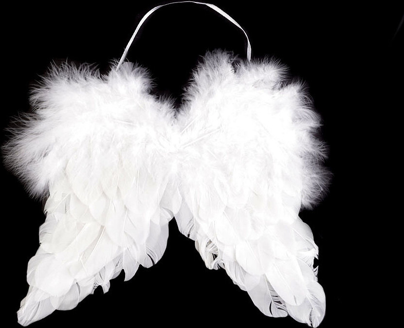 Dekorace andělská křídla 21x25 cm Varianta: bílá, Balení: 6 ks