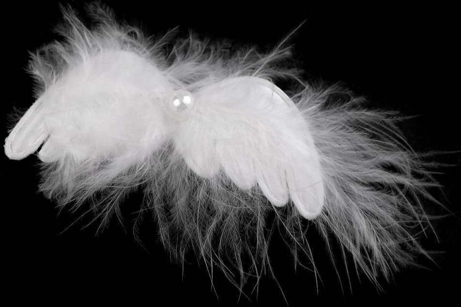 Dekorace andělská křídla s klipem 3 ks Varianta: bílá, Balení: 1 karta