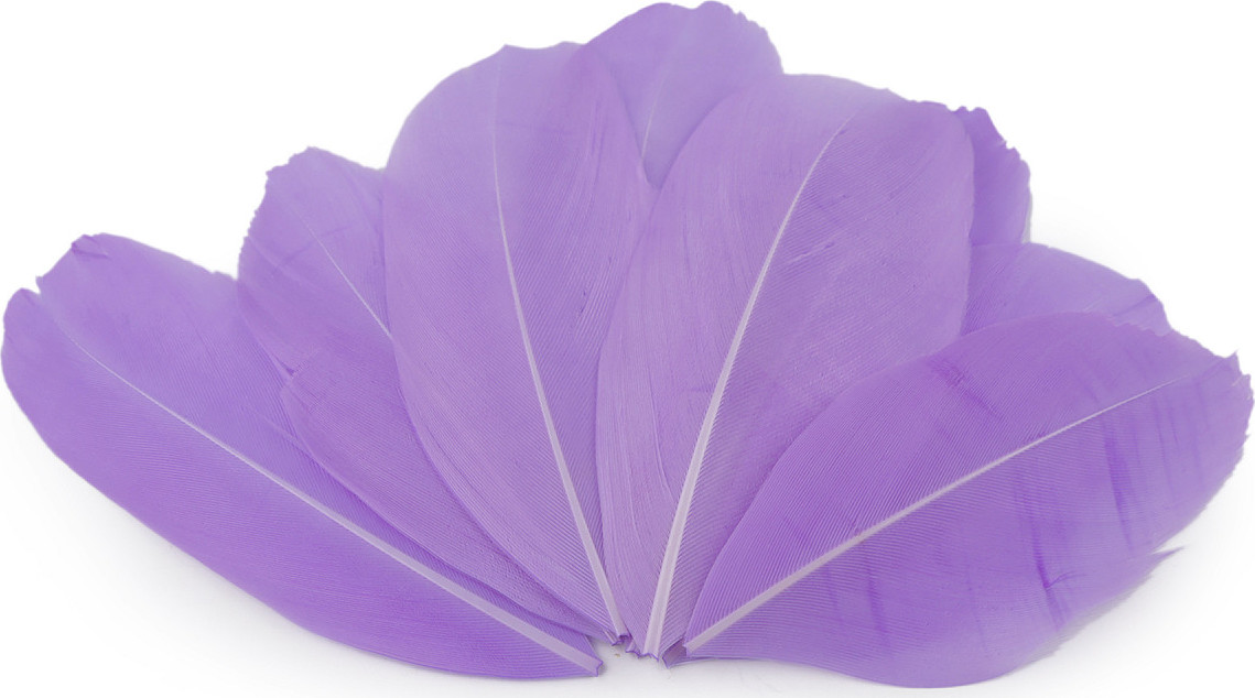 Husí peří délka 5,5-7 cm Varianta: 16 fialová lila, Balení: 1 sáček