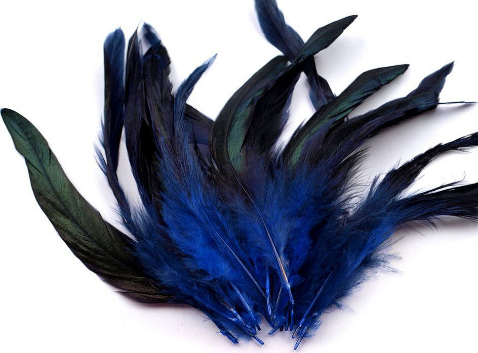 Slepičí peří délka 6-20 cm Varianta: 13 modrá královská, Balení: 20 ks