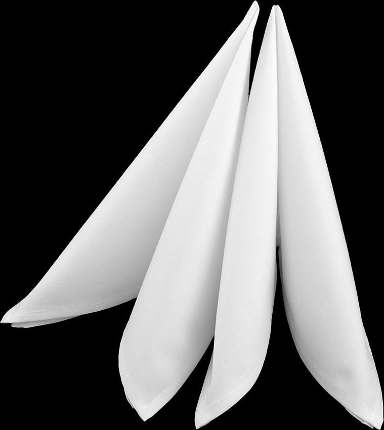 Bavlněný ubrousek 45x45 cm Varianta: 2 (45x45 cm) bílá, Balení: 2 ks