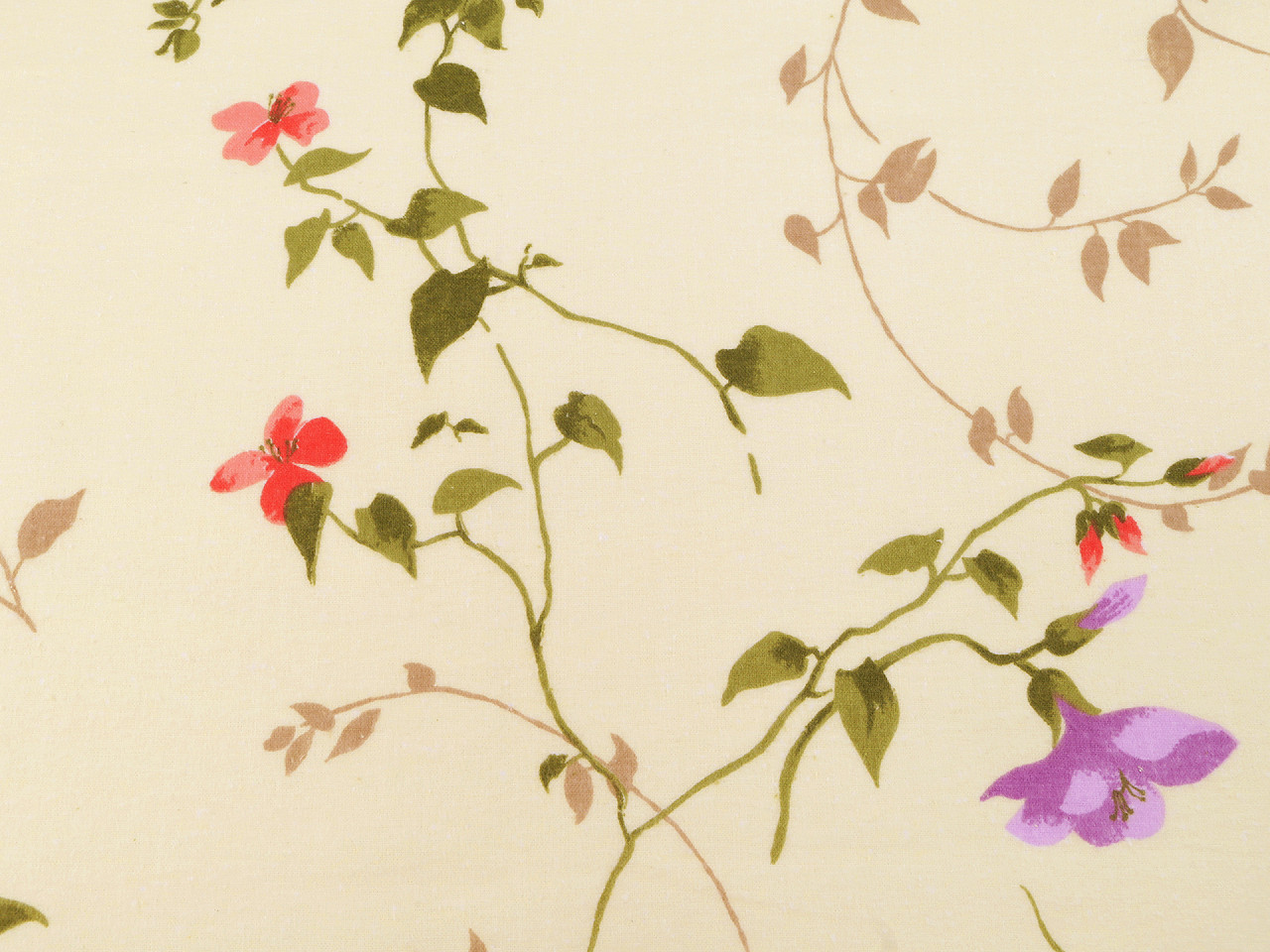 Bavlněný flanel listy a květy Varianta: 1 (170 g/m²) krémová světlá, Balení: 1 m