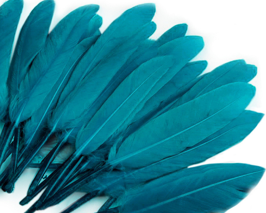 Kachní peří délka 9-14 cm Varianta: 26 modrá královská, Balení: 1 sáček