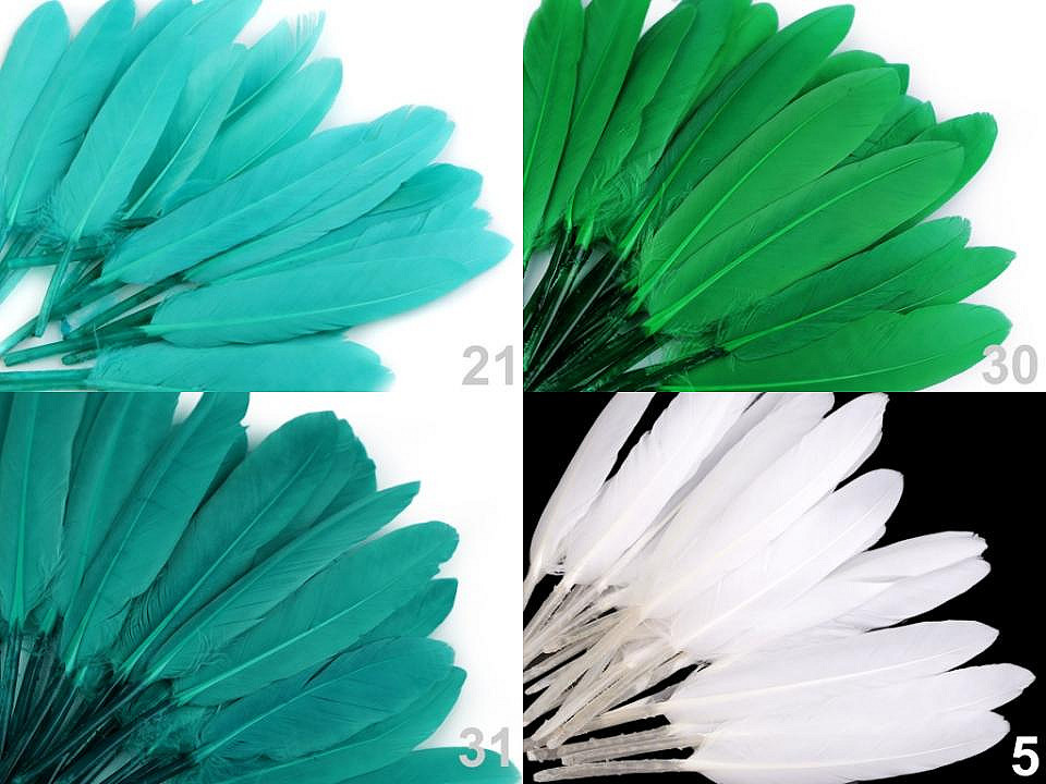 Kachní peří délka 9-14 cm Varianta: 30 zelená pastelová, Balení: 1 sáček