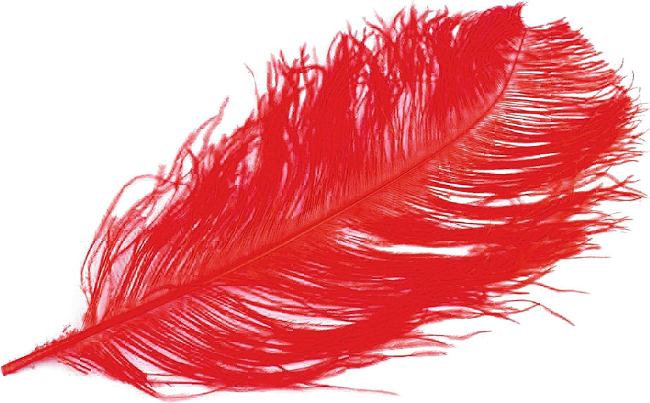 Pštrosí peří délka 60 cm Varianta: 18 červená, Balení: 1 ks
