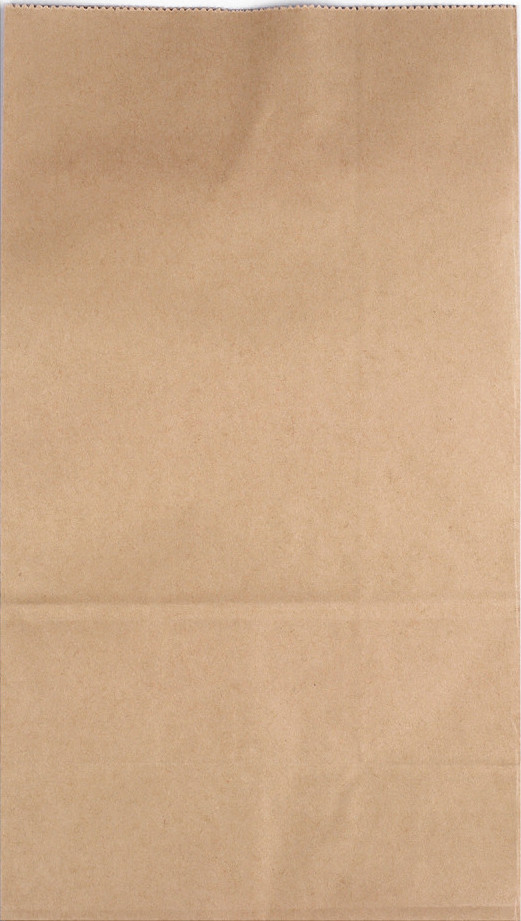 Papírový sáček Varianta: 5 (18x31,5x11 cm) hnědá přírodní, Balení: 50 ks