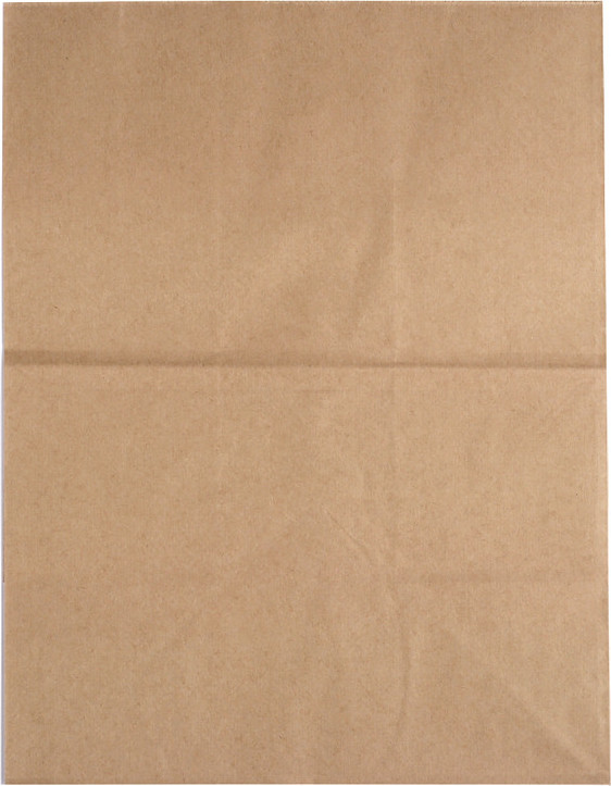 Papírový sáček Varianta: 2 (20x28x12,5 cm) hnědá přírodní, Balení: 50 ks