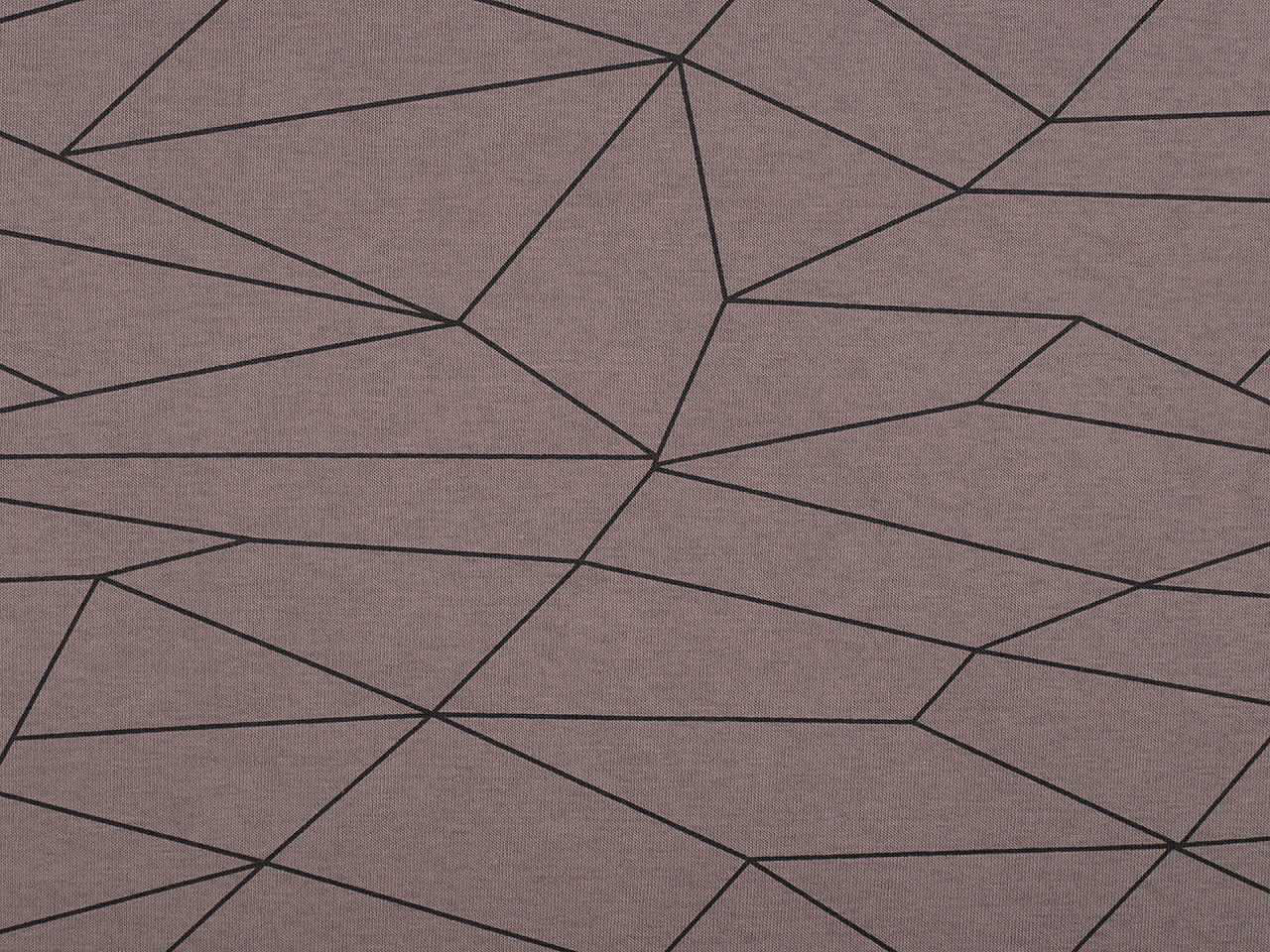 Teplákovina bavlněná počesaná geometrický vzor Varianta: 1 béžová tm., Balení: 1 m