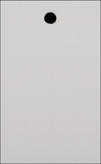 Papírová visačka / jmenovka 30x50 mm Varianta: 1 bílá, Balení: 250 ks