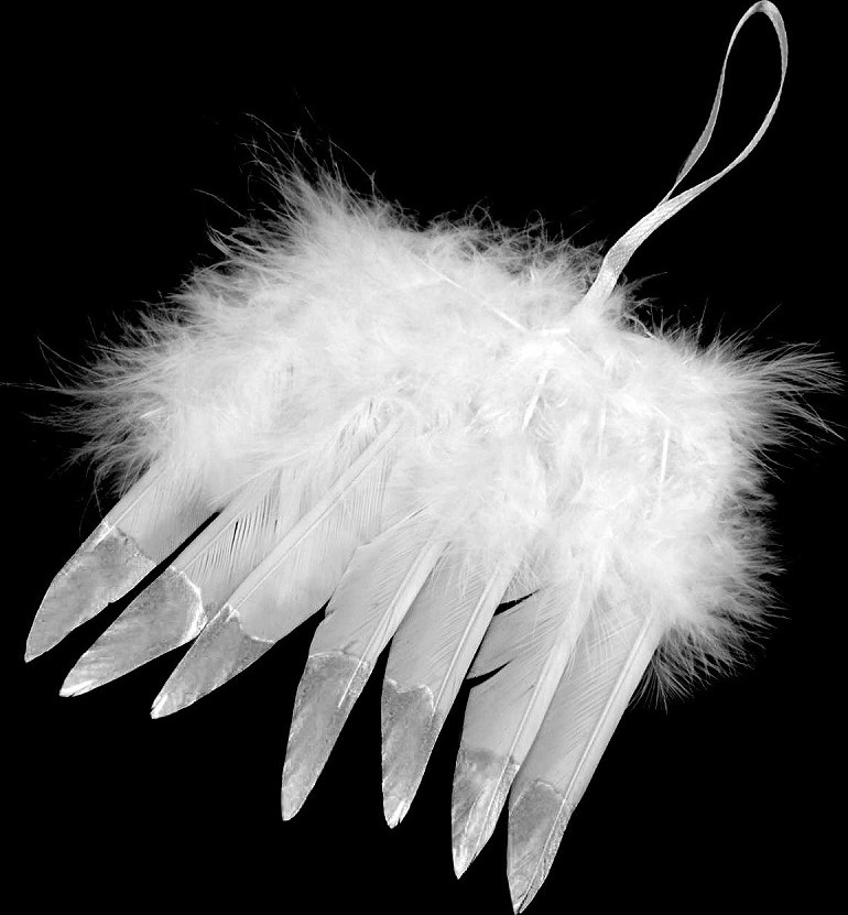 Dekorace andělská křídla s metalickým efektem Varianta: 1 bílá stříbrná, Balení: 12 ks