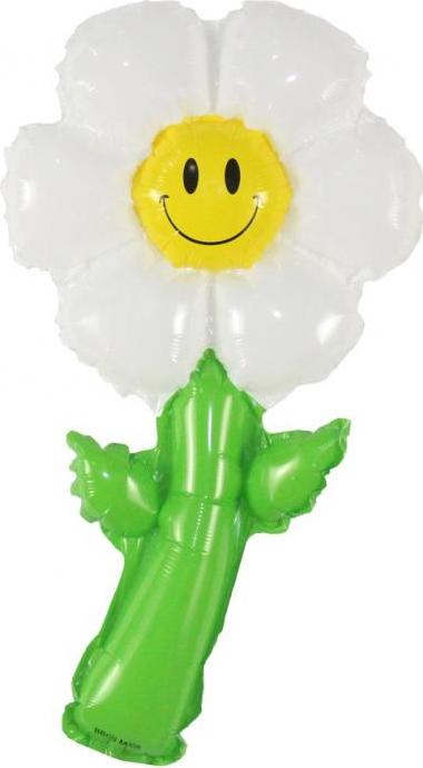 Godan / balloons Fóliový balónek 15" Daisy Flower, 19x38 cm