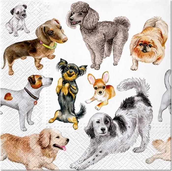Papírové ubrousky PAW Dogs Happiness 33x33 cm / 20 ks.