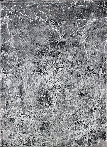 Berfin Dywany Kusový koberec Elite 4355 Grey Rozměry koberců: 60x100