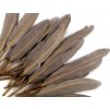 Kačacie perie dĺžka 9-14 cm
