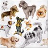 Papierové obrúsky PAW Dogs Happiness 33x33 cm / 20 ks.