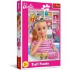 TREFL Puzzle Zoznámte sa s Barbie 100 dielikov 41x27,5 cm