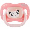 CANPOL babies Dudlík silikonový symetrický EXOTIC ANIMALS 0-6m 1ks panda