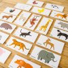 Magnetic Tile Topper – Animal Duo Puzzle Pack (40 Piece) (6)