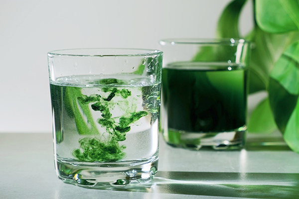 Flüssiges Chlorophyll: hellt die Haut auf und spendet Energie