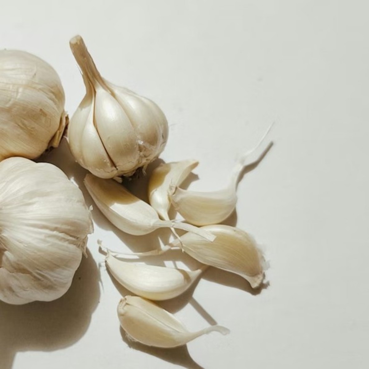 Lipidol – Nahrungsergänzungsmittel für Gesundheit und Lipidgleichgewicht