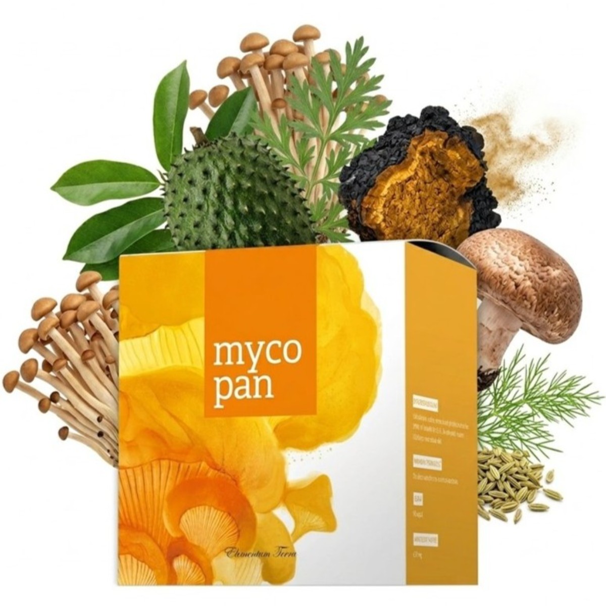 Zusammensetzung von Energy Mycopan mit Vitalpilzen und Kräuterextrakten in einer Rezeptur