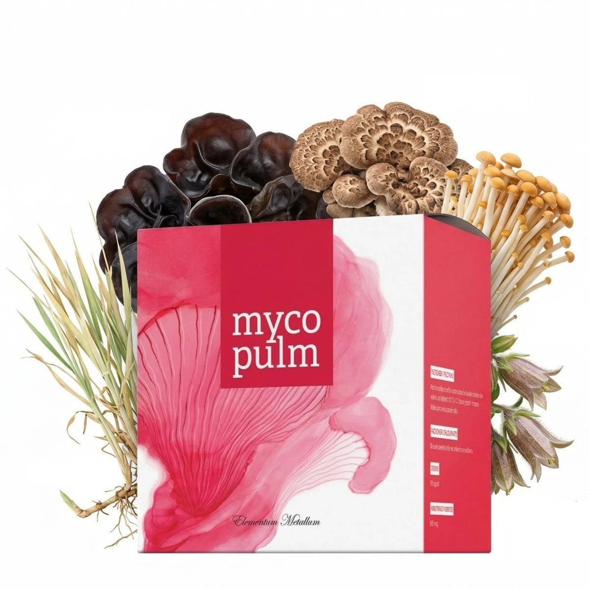 Zusammensetzung von Energy Mycopulm mit Extrakten aus Vitalpilzen und Kräutern pro Kapsel