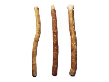 Natürliche Zahnbürste  in arabischen Ländern als Siwak, Miswak, Meswak oder Arak bekannt