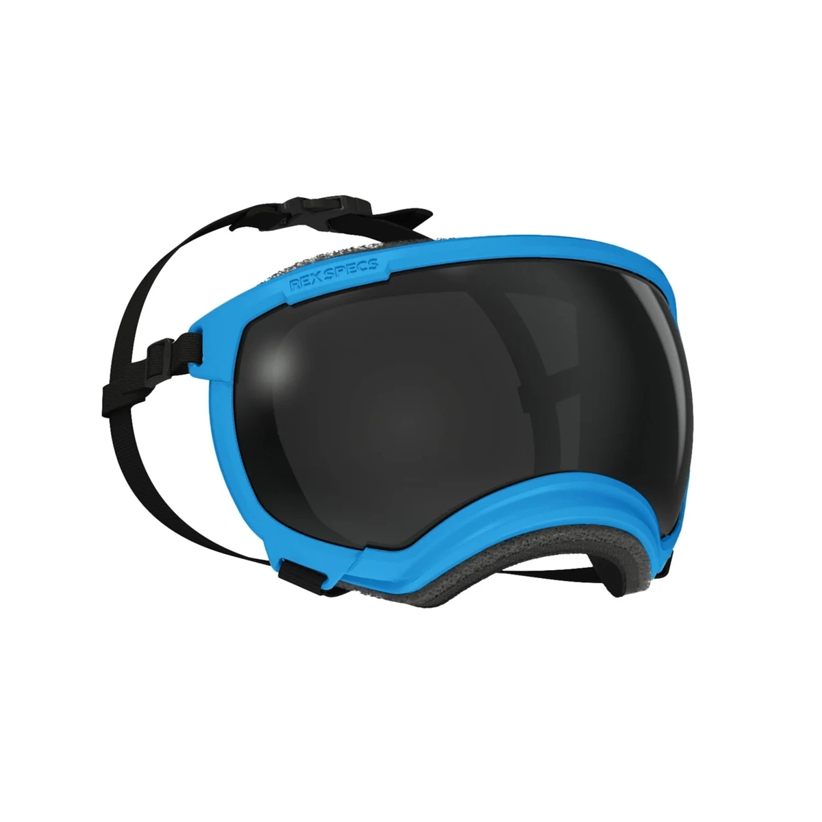 Rex Specs Googles V2 – Schutzbrille für Hunde Größe: L, Farbe: Blau