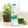 phytolife-Ausbildung