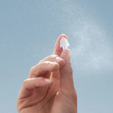 Alpine Clean Desinfektionsmittel für Ohrstöpsel