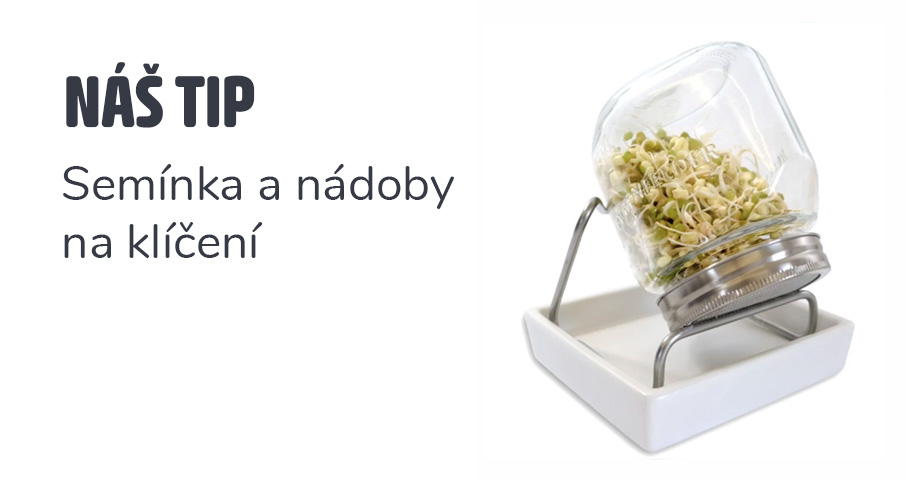 NÁŠ TIP Klíčení