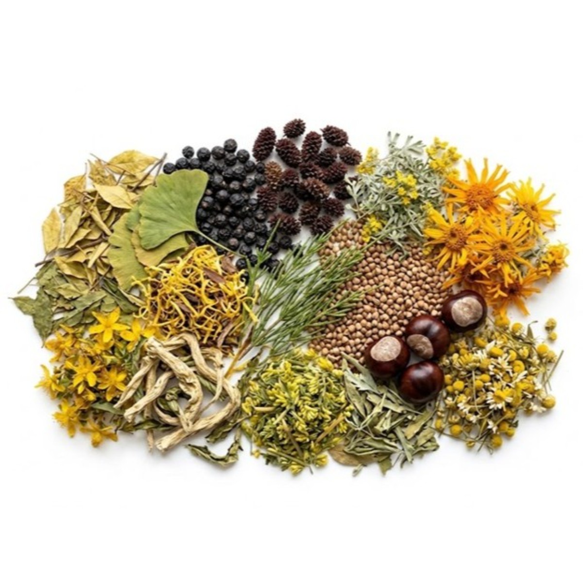 Složení Ruticelit Professional s bylinnými extrakty, termální vodou a vitaminem E