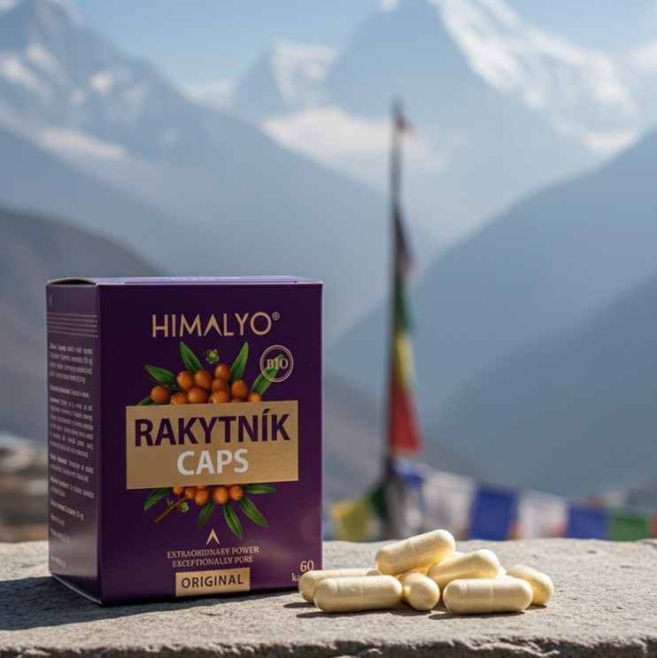 Tibetský rakytník kapsle
