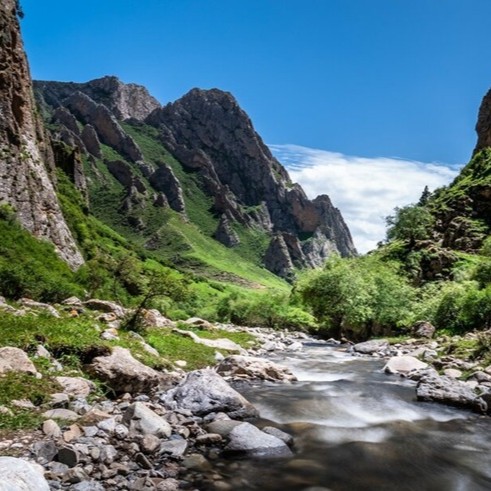 Tibet Detox kapsle